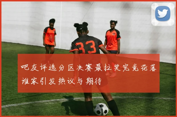 吧友评选分区决赛最拉奖究竟花落谁家引发热议与期待