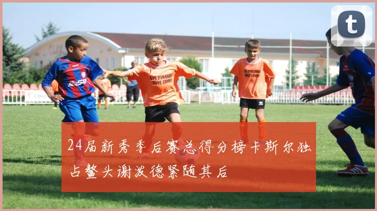 24届新秀季后赛总得分榜卡斯尔独占鳌头谢泼德紧随其后